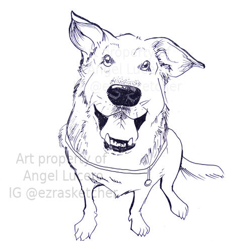 Caricature portrait of a cute dog. Ballpoint pen on paper